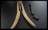 Aalstecher - Archäologisches Werkzeug