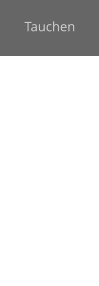 Tauchen
